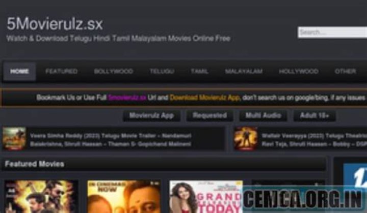 5Movierulz 2025: Your Ultimate Guide to Downloading Hindi Movies