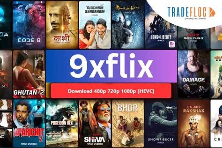 9xFlix: Your Ultimate Streaming Destination Unveiled