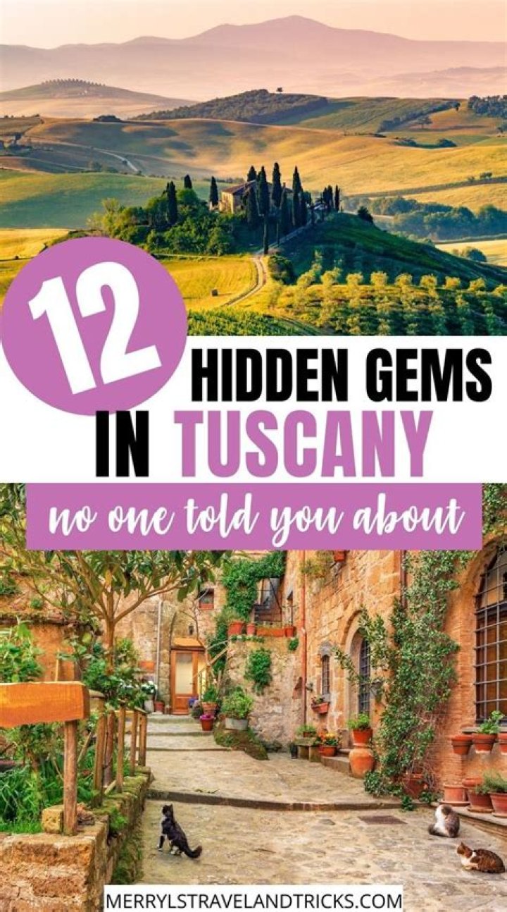 Aagmaalscom: Your Ultimate Guide to Discovering the Hidden Gems of Online Travel