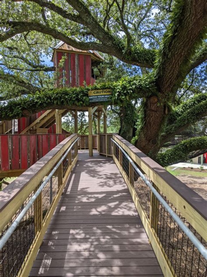 All You Need to Know About Pete Nelson Net Worth: A Treehouse Innovator's Journey