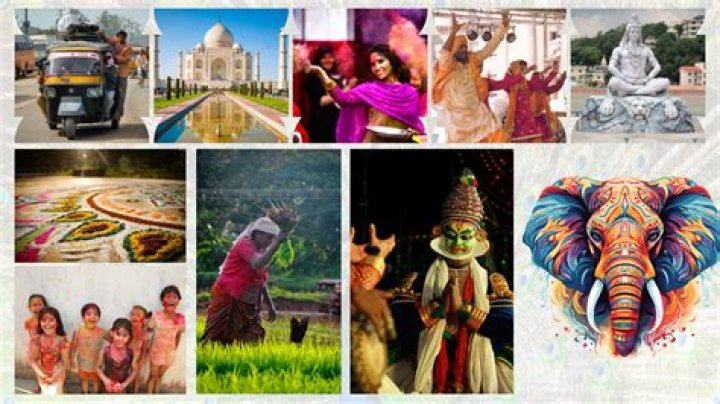 Ana Saia: A Journey Through Her Life and Achievements
