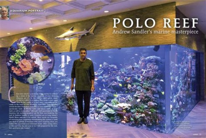 Andrew Sandler: Exploring His Polo Reef Legacy and Estimated Net Worth