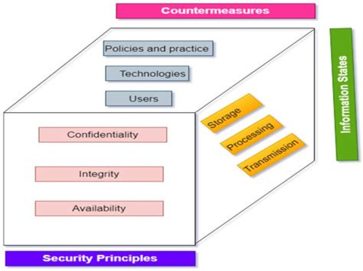 Anna Malygon Nudes: A Comprehensive Analysis of Privacy, Media, and Misinformation