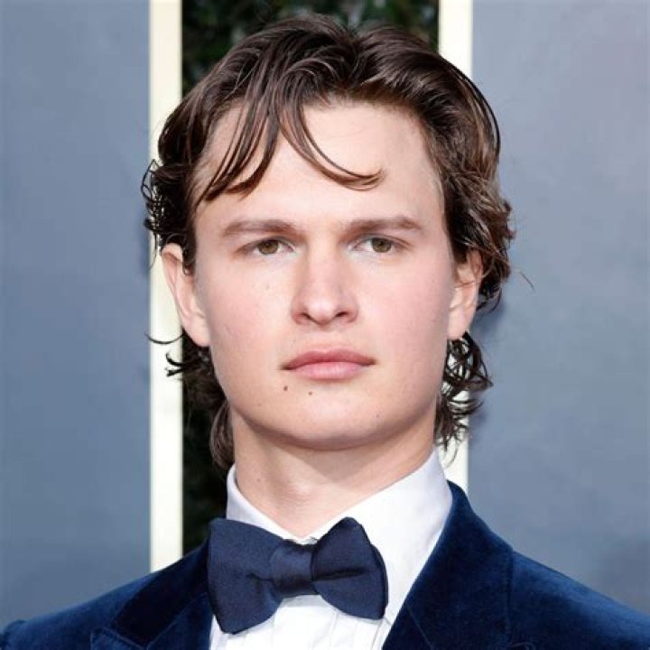 Ansel Elgort Net Worth: A Deep Dive into the Rising Star's Wealth