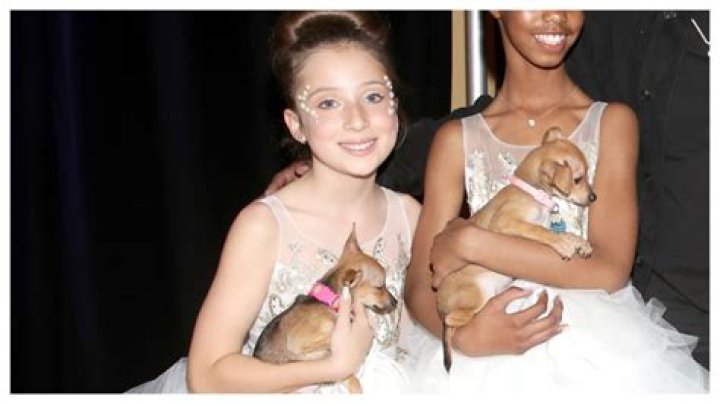 Ava Baroni: The Rising Star in the Entertainment Industry