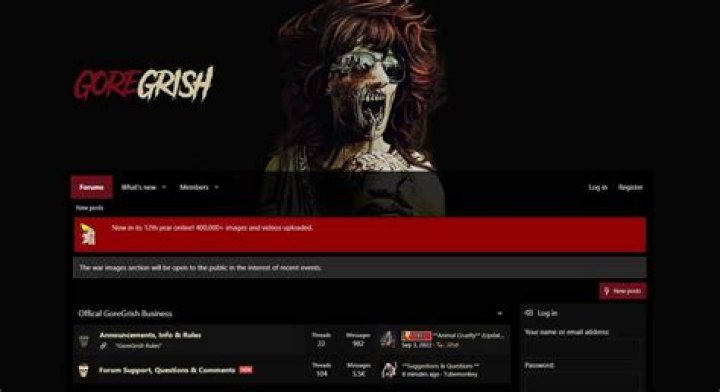 Best Gore Alternatives: Top Sites for Shocking Videos (2024)