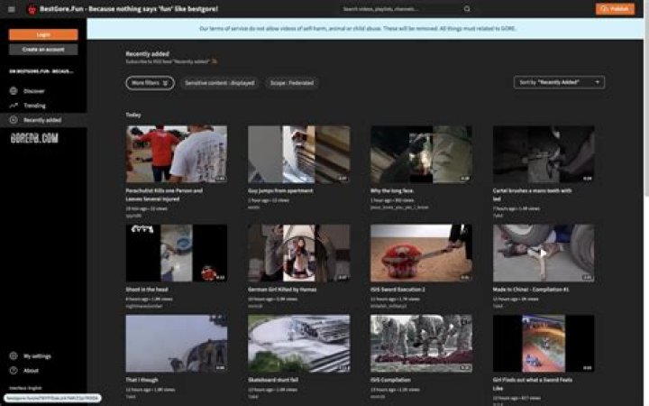 Bestgore Alternatives: A Comprehensive Guide to Explore Shocking Content Safely