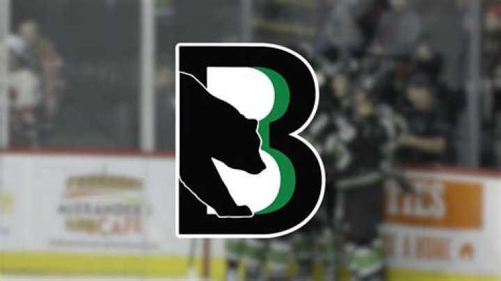 Binghamton Black Bears: A Comprehensive Overview
