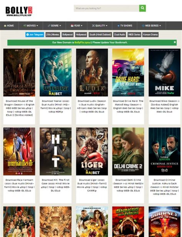 Bollyflix Africa Hindi Dubbed: Your Ultimate Guide to Entertainment