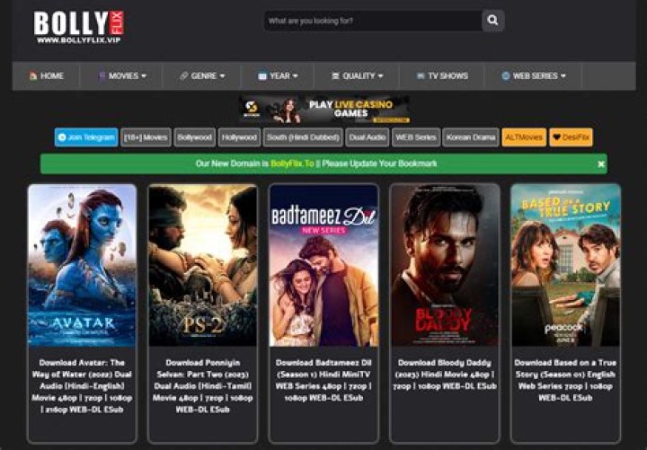 BollyFlix Download Link: Your Ultimate Guide to Bollywood Entertainment