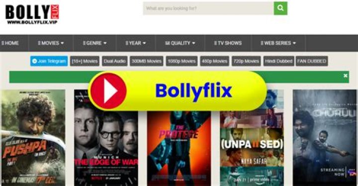 BollyFlix Fan: The Ultimate Guide to India's Hottest Movie Streaming Hub