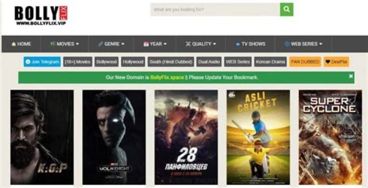 BollyFlix Hollywood: Your Ultimate Guide to Streaming Movies