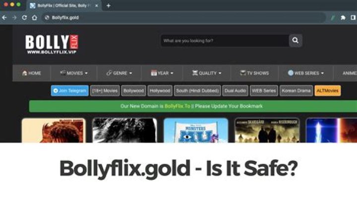 BollyFlix Jawan: The Ultimate Guide to the Streaming Phenomenon