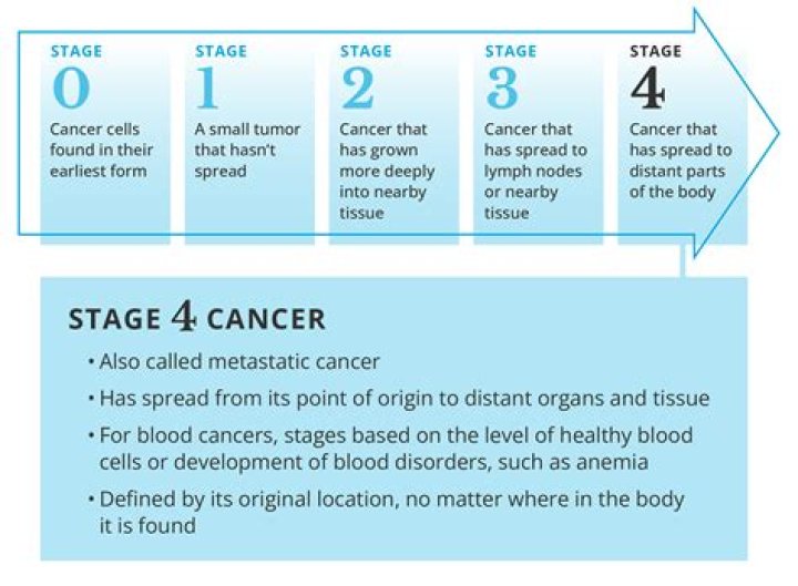 Bravery in the Face of Adversity: The Pioneer Woman's Battle with Stage 4 Colon Cancer