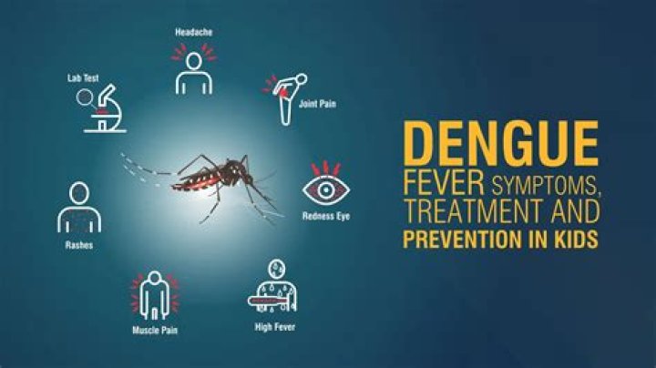 Bubba DBD: Understanding the Impact of Dengue Fever and Its Prevention