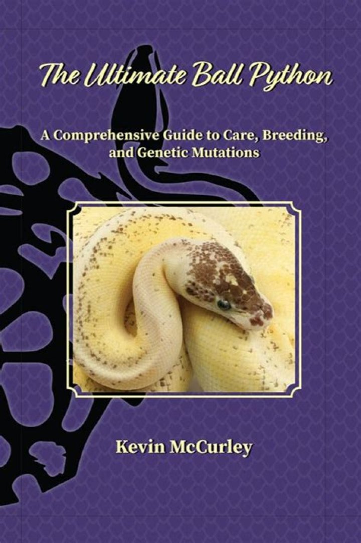Burmese Python: A Comprehensive Guide to a Majestic Creature