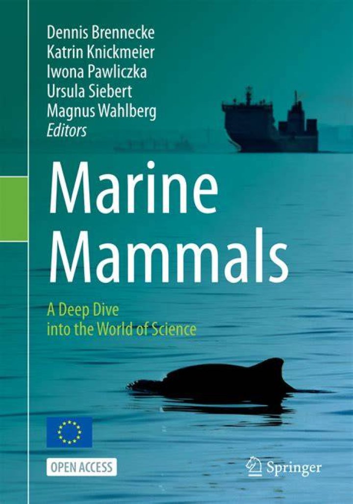 Captain Sandy: A Deep Dive into the Life of a Maritime Leader