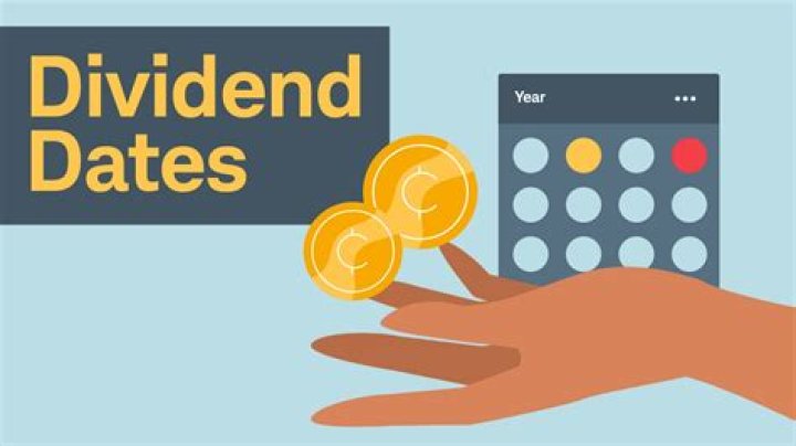Complete Guide to Lulu Stock Dividend
