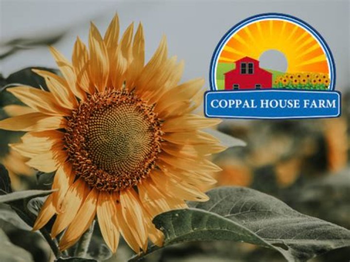 Coppal House Farm: A Journey into Sustainable Agriculture and Community Living