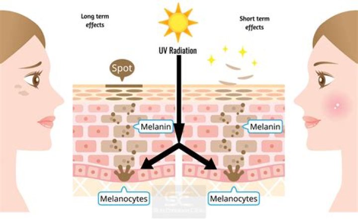 Daisy Melanin: The Ultimate Guide to Unlocking Your Skin's Natural Glow