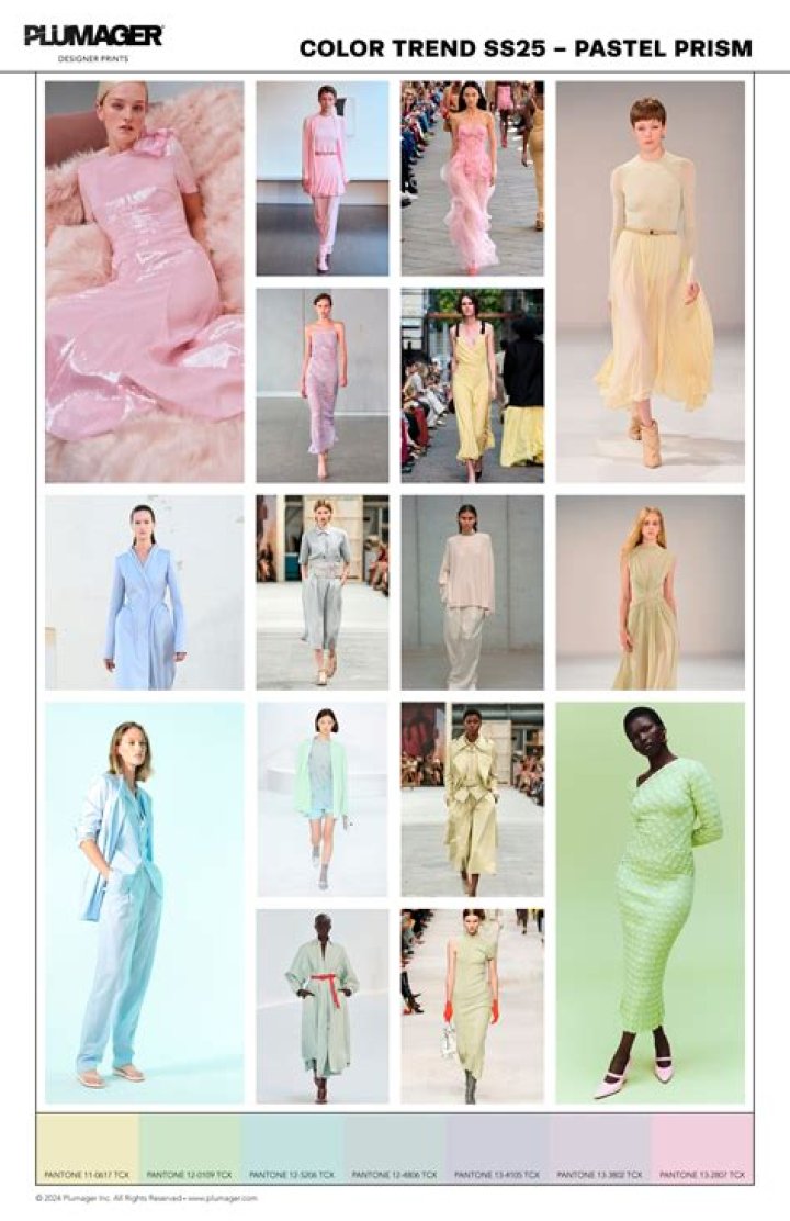 Dasimms: Your Ultimate Guide to the Trendiest Fashion Brand
