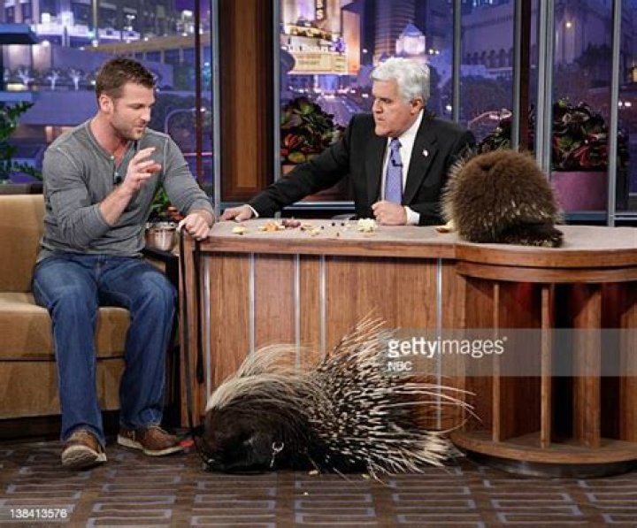 Dave Salmoni Net Worth: An Inside Look at the Wildlife Expert's Earnings