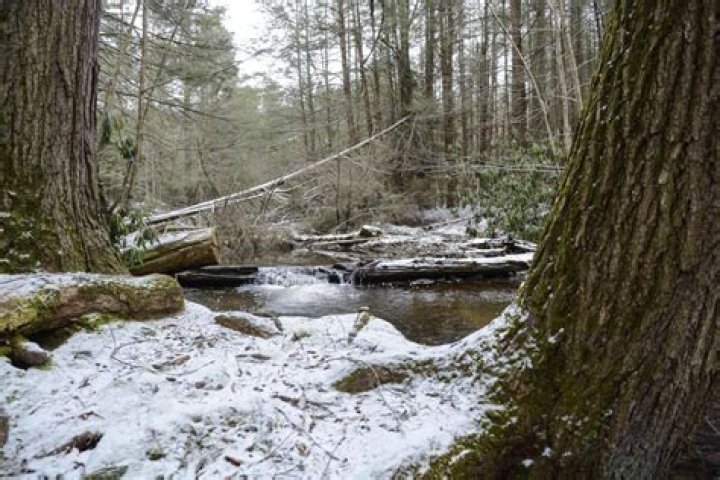 Discover the Majestic Beauty of RB Winter State Park