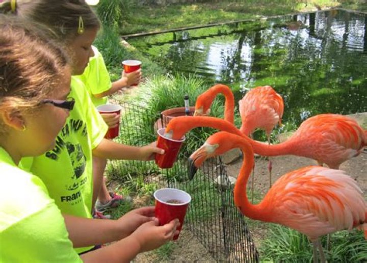 Discover the Wonders of the Gainesville Zoo