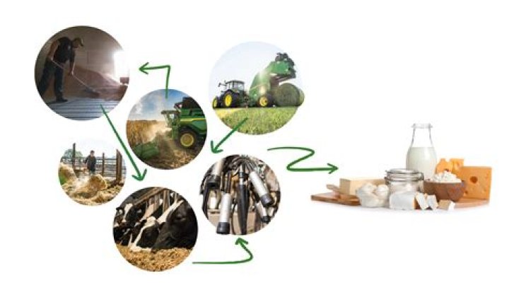 Discovering Evergreen Dairy Farms: A Journey into Sustainable Dairy Production