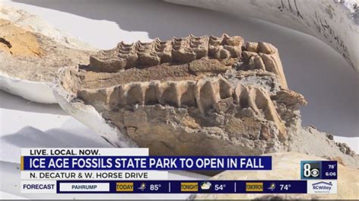 Discovering Ice Age Fossils State Park: A Journey Through Time