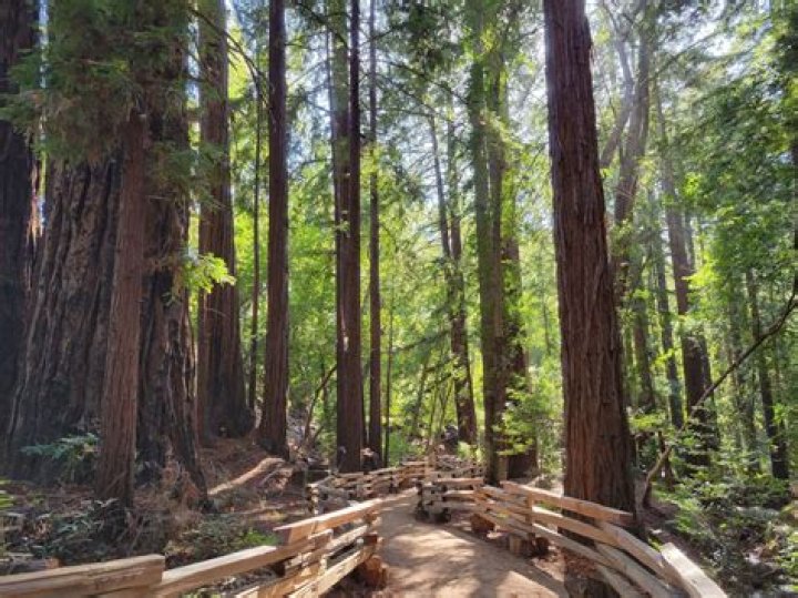 Discovering the Beauty of Messy Big Sur State Park