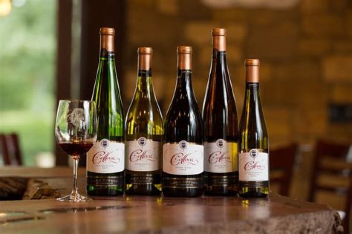 Discovering the Charm of Colloca Winery Sterling NY