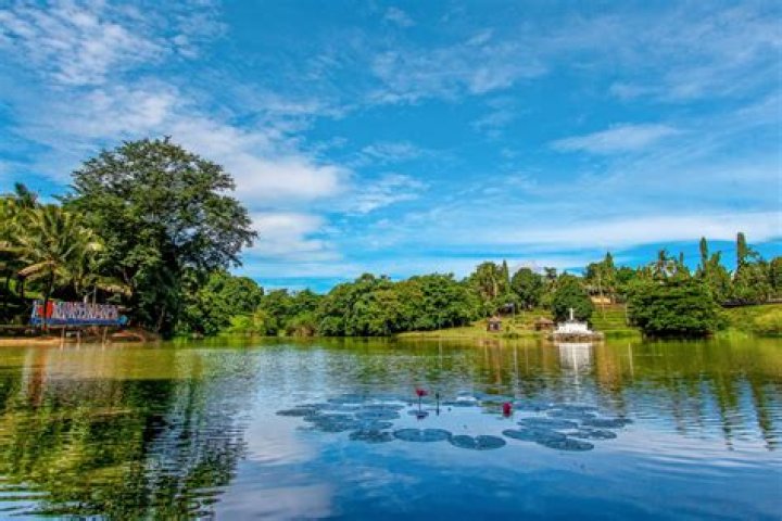 Discovering the Charm of Hank's Place PA