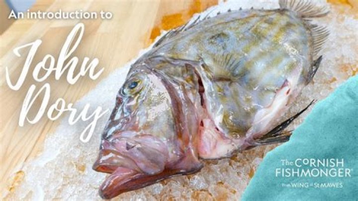 Discovering the Wonders of John Dory Fish: A Comprehensive Guide