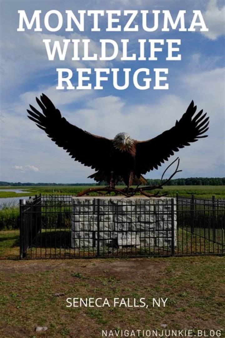 Discovering the Wonders of Montezuma Wildlife Refuge