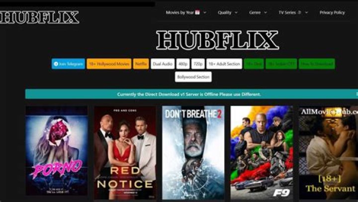 Discovering the World of Hubflix.in: Your Ultimate Streaming Partner