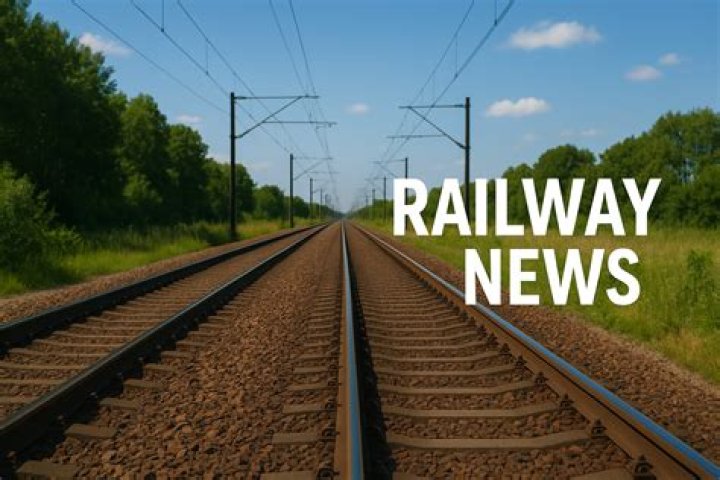 Discovering the World of Rail Runners