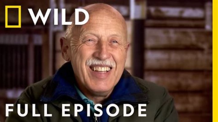 Dr. Pol Olivia: The Journey of a Trusted Veterinary Expert