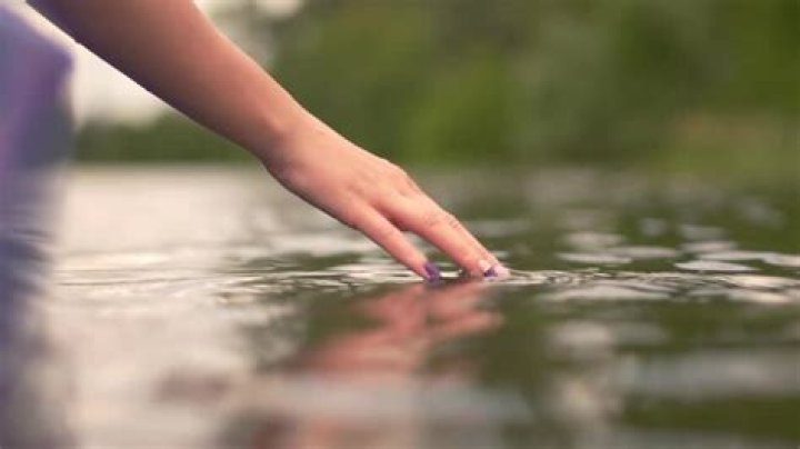 Embracing Nature: The Joy of Touching the Water