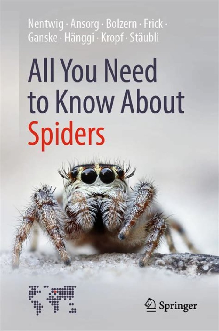 Everything You Need to Know About ES 3: A Comprehensive Guide