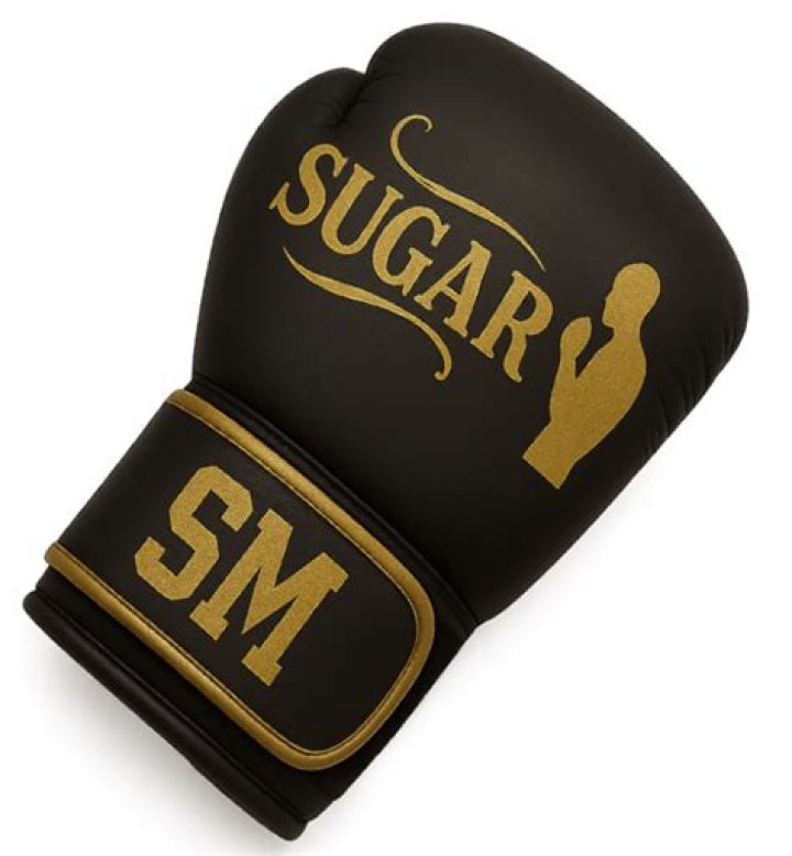 Examining Sugar Shane Mosley Net Worth: Achievements and Legacy