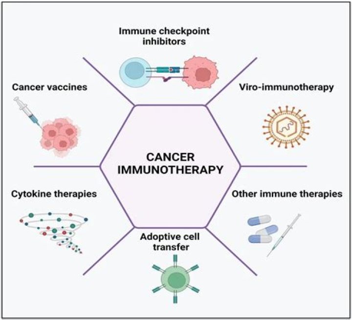 Explore AbbVie EvolveImmune: Transformative Immunotherapies