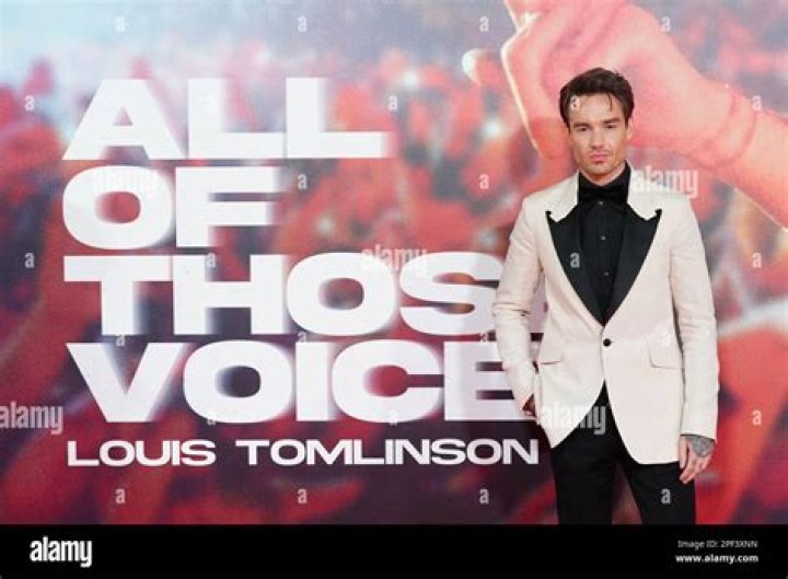 Exploring Liam Payne: All of Those Voices