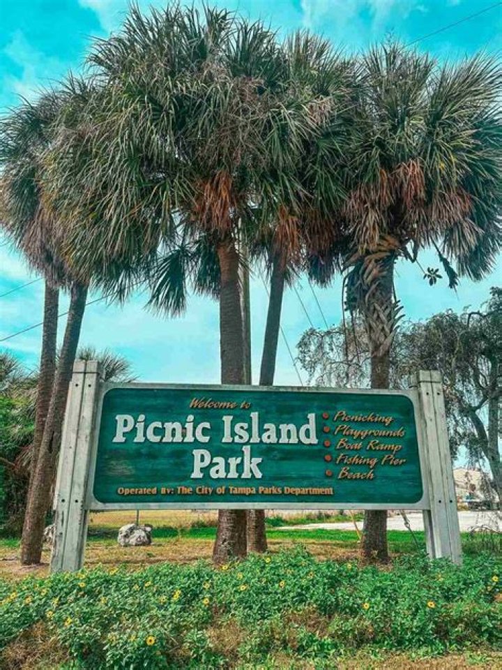 Exploring Picnic Island Park: A Hidden Gem in Tampa, FL
