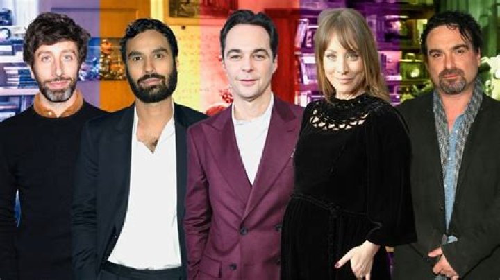 Exploring the Charismatic Journey of Raj in the Big Bang Theory