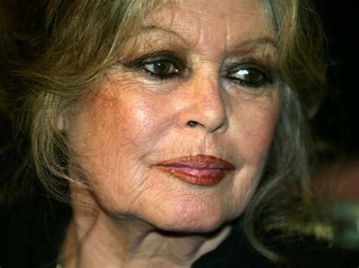 Exploring the Life and Legacy of Actress Brigitte Bardot
