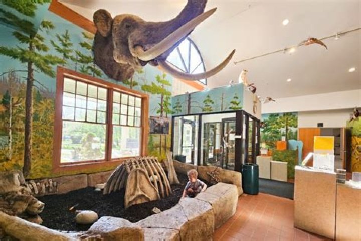 Exploring the Wonders of Stage Nature Center Troy