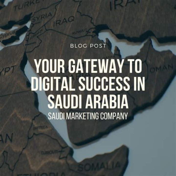 Exploring the World of SDSPoint: Your Gateway to Digital Success