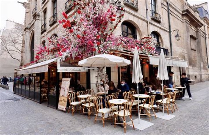 Exploring Urban Cafes: The Heart of City Culture