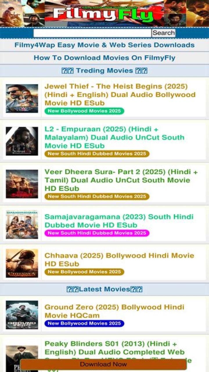 FilmyFly Com 2025 Movie Download: The Ultimate Guide for Movie Enthusiasts